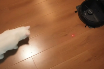 LSC-V5 Pet Laser Operation